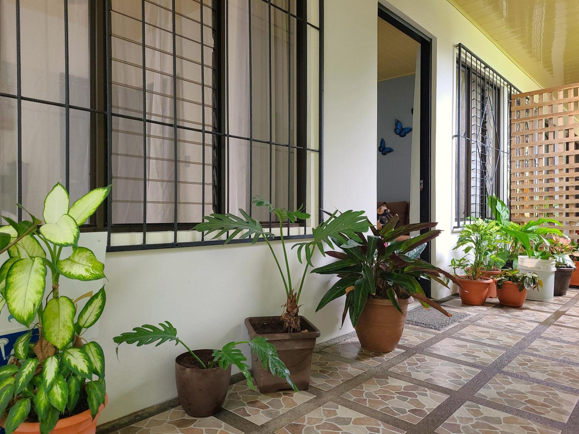 Butterfly Apartments La Fortuna Exterior photo