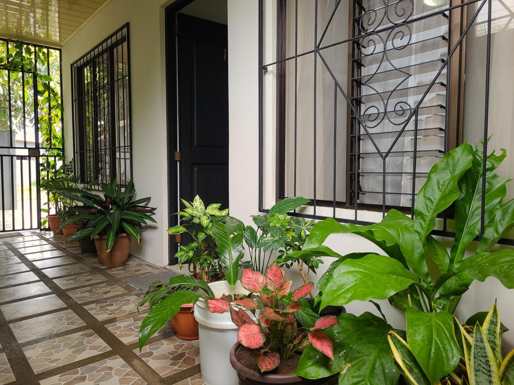 Butterfly Apartments La Fortuna Exterior photo
